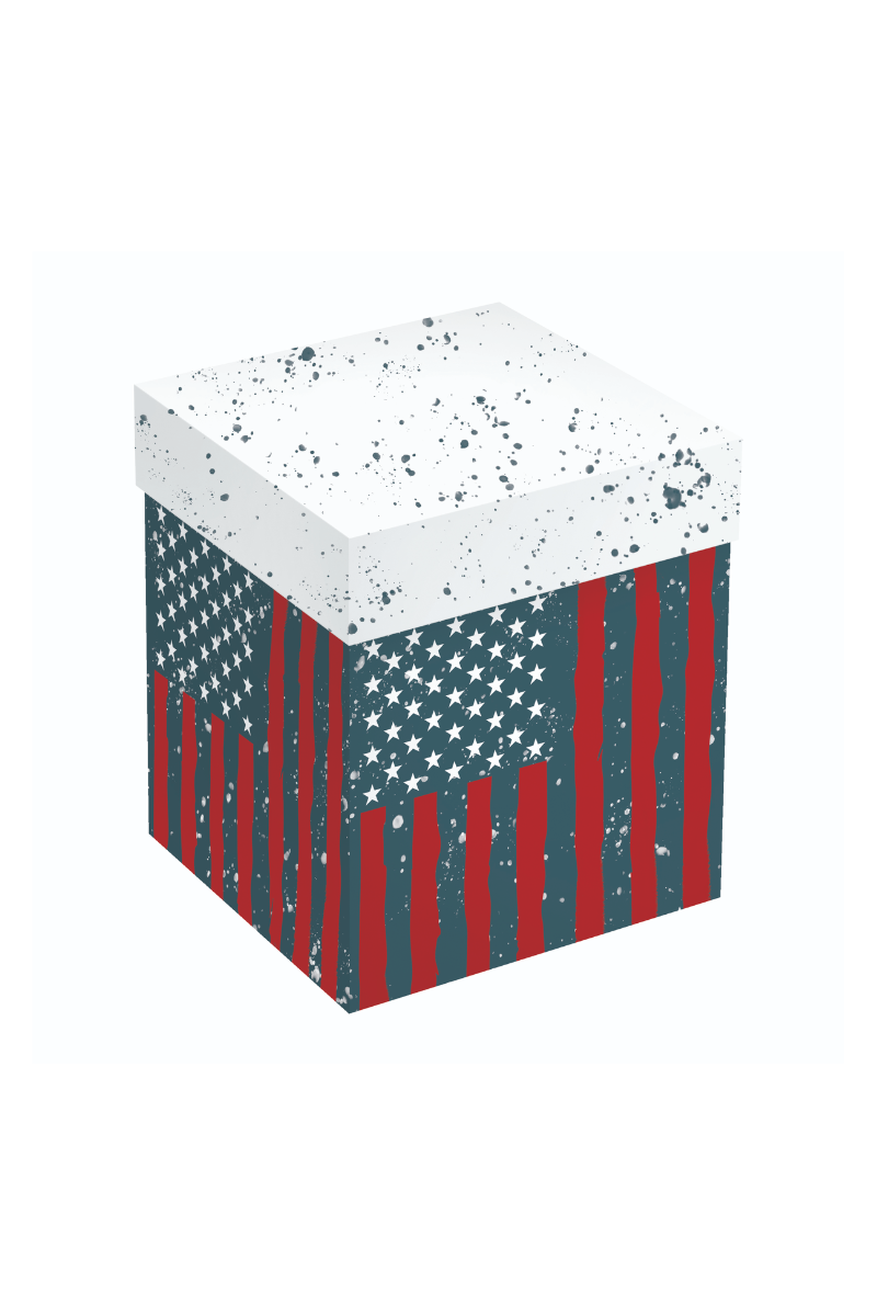 Dark Slate Gray American Flag Mug