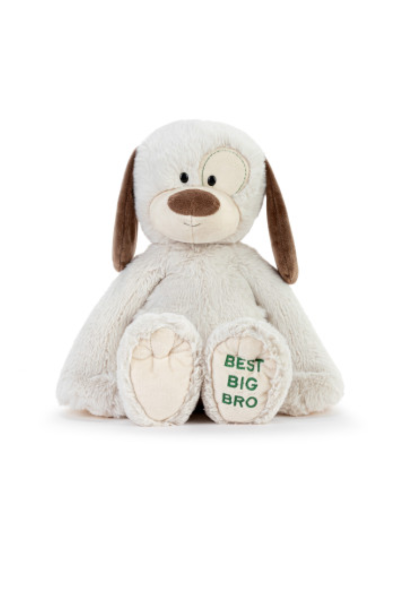 Light Gray Best Big Brother Plush Dog 16" - Demdaco