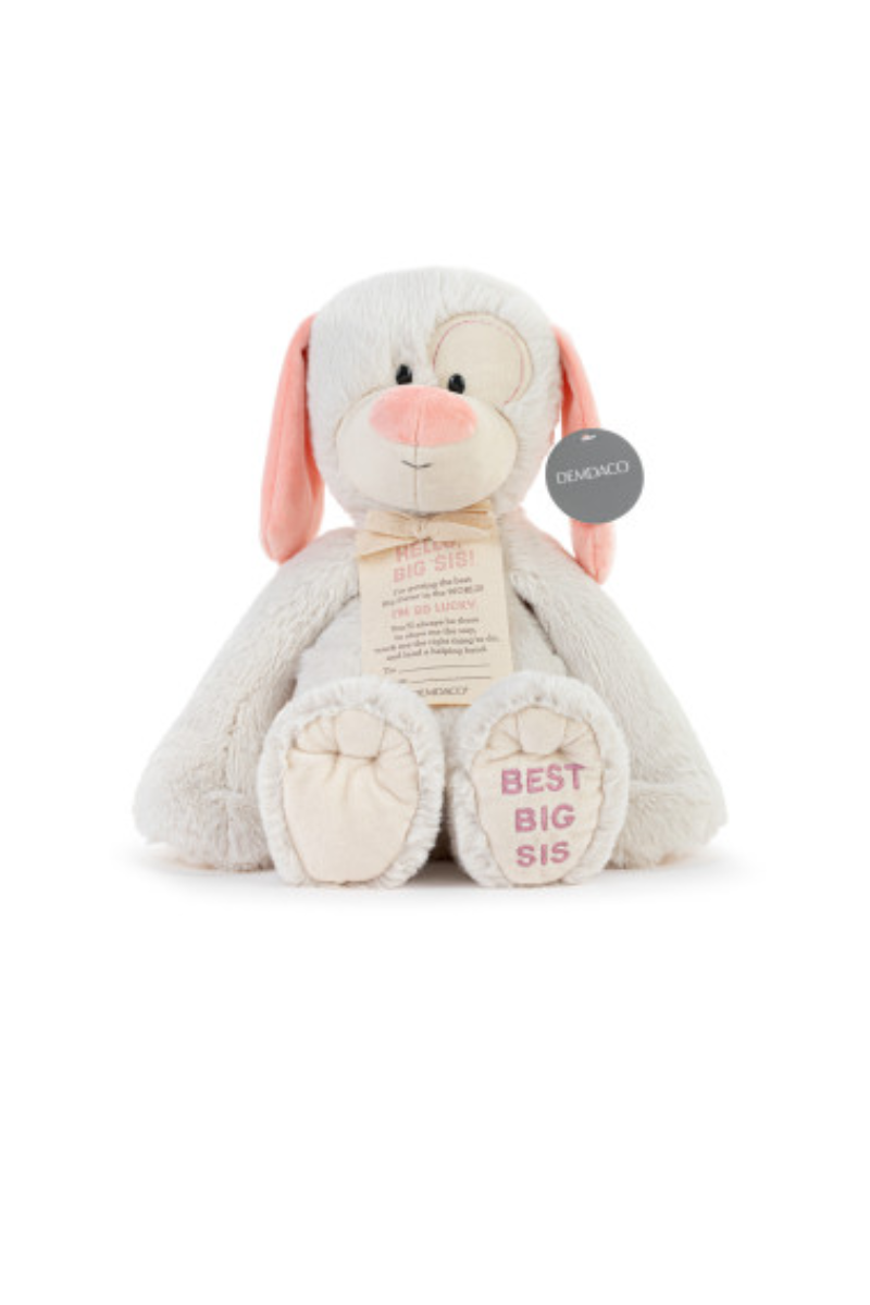 Light Gray Best Big Sister Plush Dog 16" - Demdaco