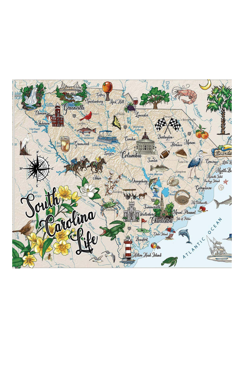 Light Gray South Carolina Life - Puzzle