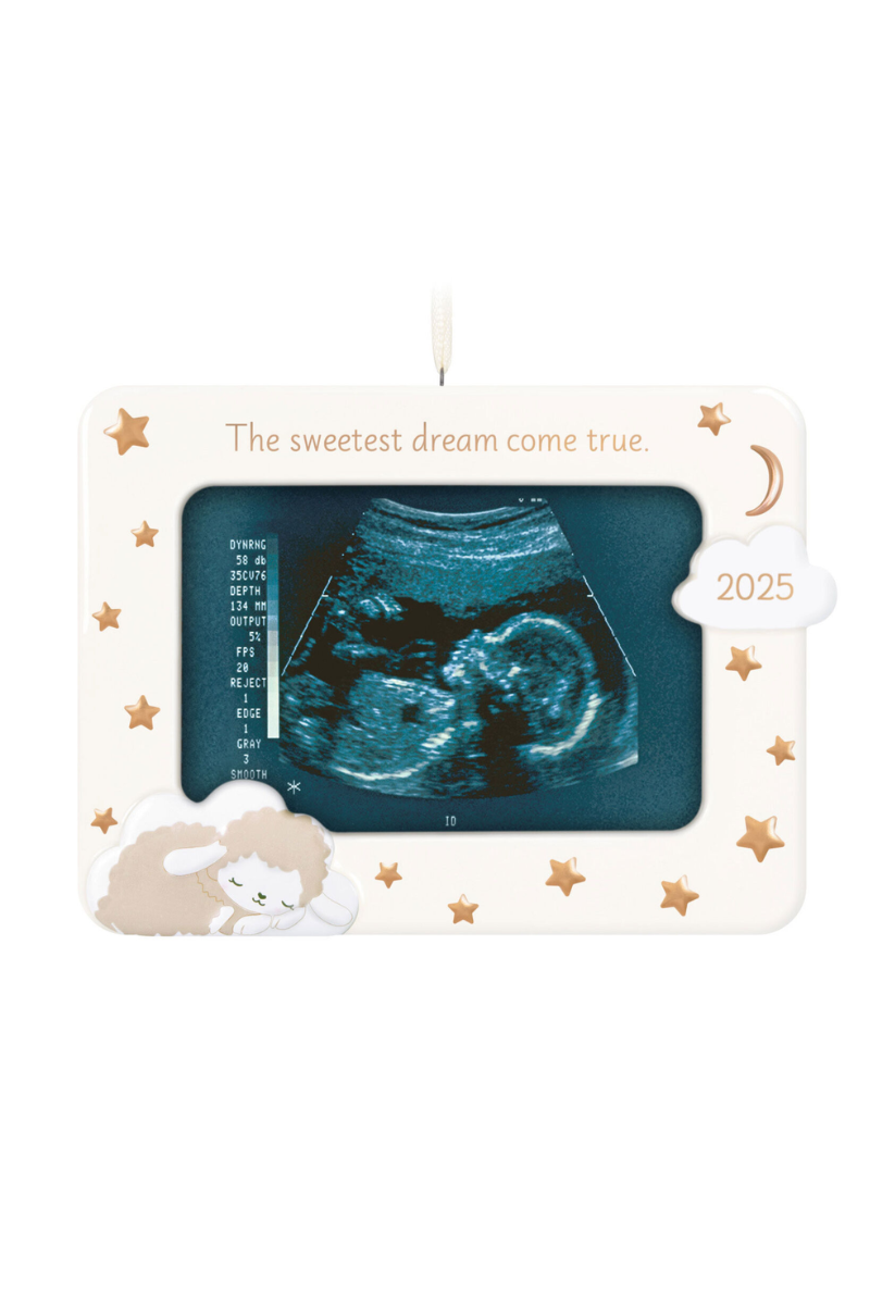 Dark Slate Gray 2025 Ornament - Sweetest Dream Come True 2025 Photo Frame Porcelain Ornament