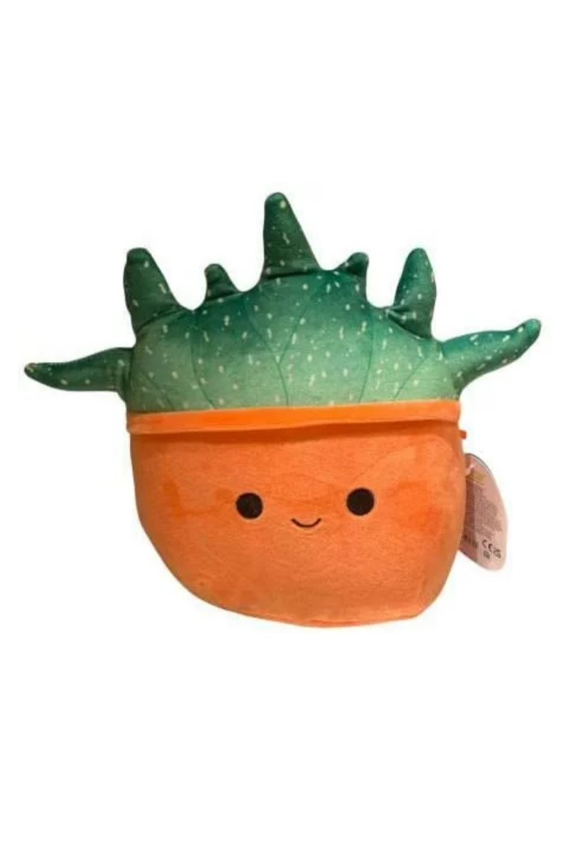 Chocolate Squishmallows Official Kellytoy Plush 8 Inch Squishy Soft Plush Toy Animals (Oz Succulent)