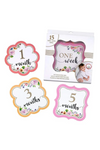 Lillian Rose Pink Watercolor, Milestone Card Set, 1-15 Months