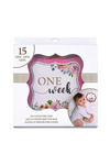 Lillian Rose Pink Watercolor, Milestone Card Set, 1-15 Months