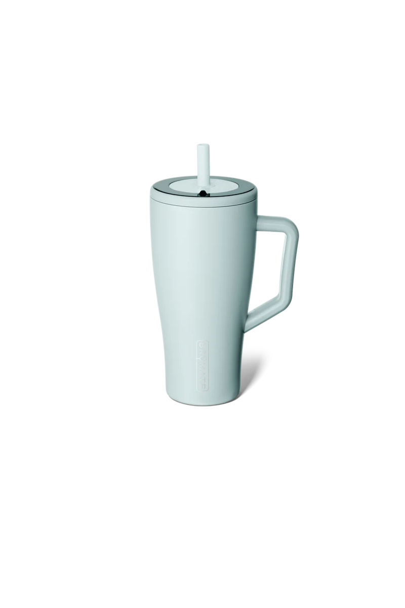 Light Gray Brumate ERA 30oz Straw Tumblers