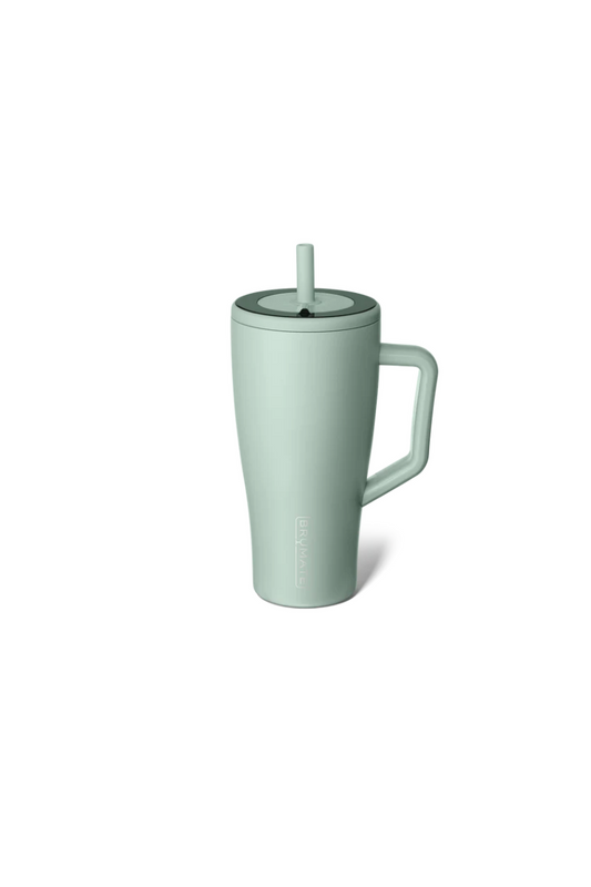 Dark Gray Brumate ERA 30oz Straw Tumblers