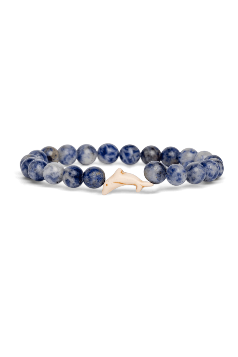 Light Slate Gray Fahlo Dolphin Tracking Braclet