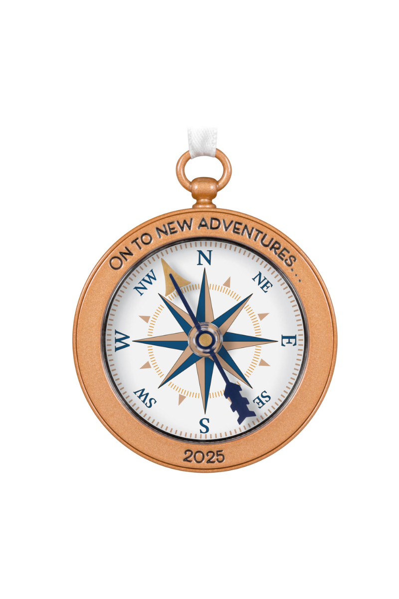 Dark Salmon 2025 Ornament - New Adventures 2025 Metal Ornament