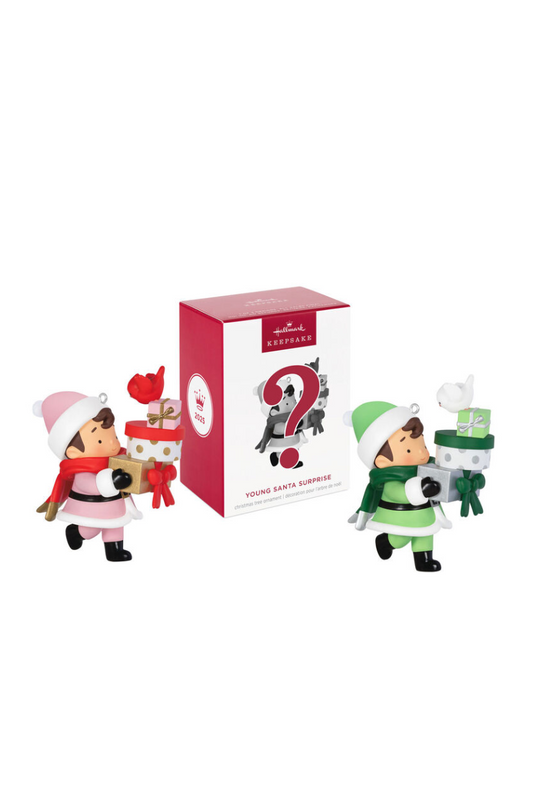 Light Gray 2025 Ornament - Young Santa Mystery Ornament
