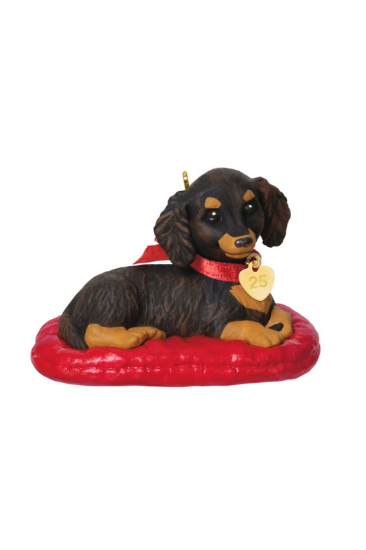 Tomato 2025 Ornament - Dachshund Ornament