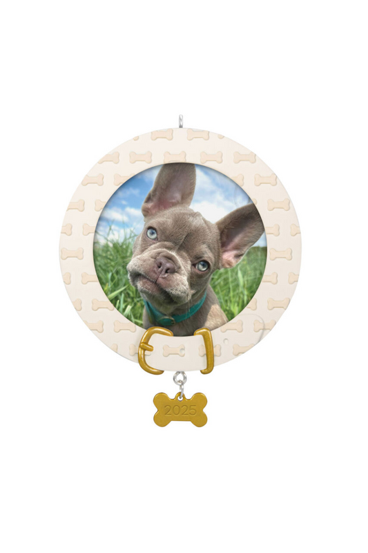 Dark Olive Green 2025 0rnament - Faithful Friend Photo Frame Ornament