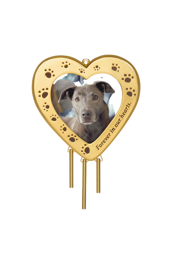 Forever Friend Metal Photo Frame Pet Memorial Ornament