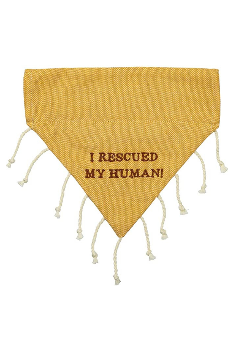 Side 2 is solid gold with "I rescued my human"