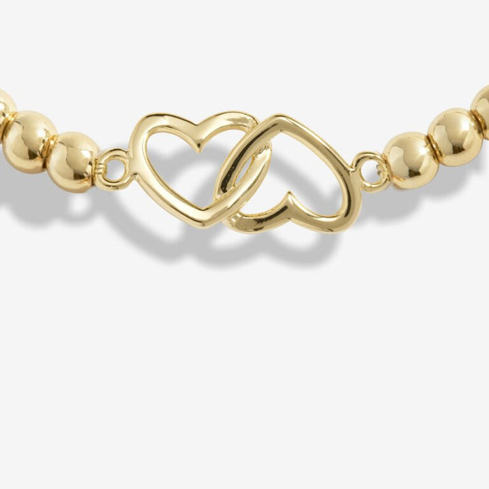 Katie Loxton-Gold A Little 'Beautiful Friend'